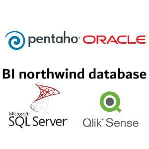 Business Intelligence